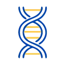 Genetics