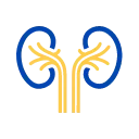 Nephrologist