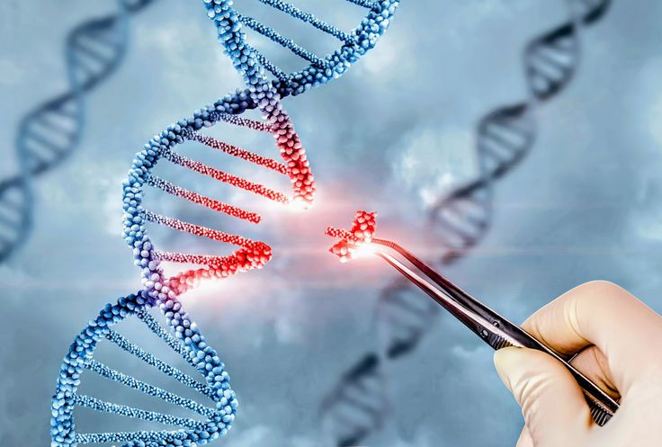 New technology could safely treat hundreds of genetic diseases