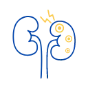 Disorders of Kidney