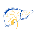 Disorders of Liver