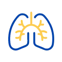 Disorders of Respiratory System