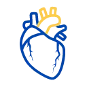 Heart Diseases