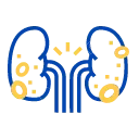 Kidney Disease