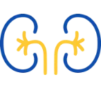 Kidney