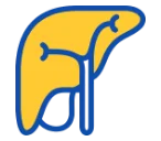 Liver