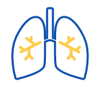 Lungs