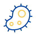 Parasitic Infections